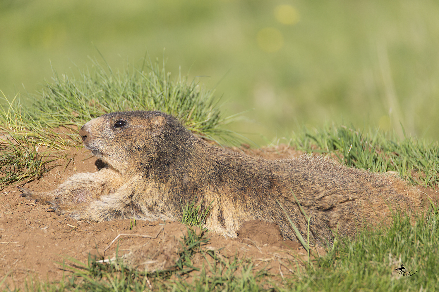 repos